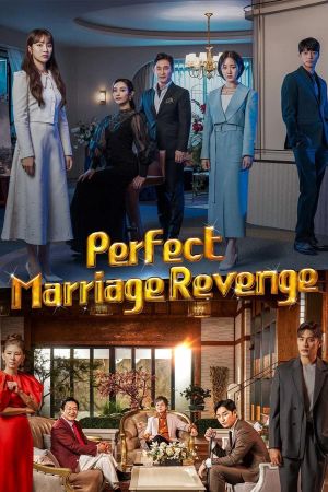 Perfect Marriage Revenge