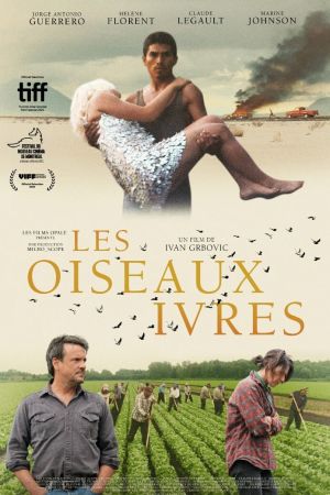 Les oiseaux ivres