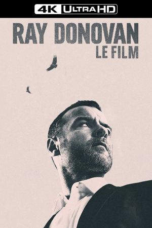 Ray Donovan : Le Film