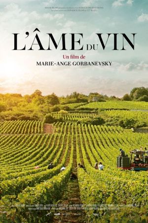 L'âme du vin