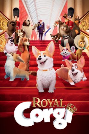 Royal Corgi