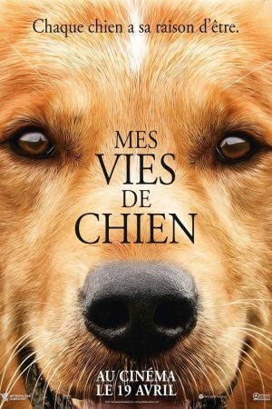 Mes vies de chien