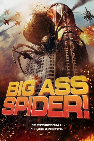 Big Ass Spider !