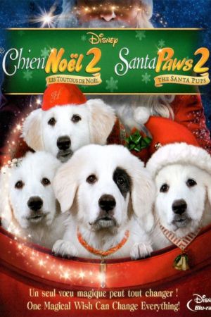 Les Chiots Noël, la relève est arrivée